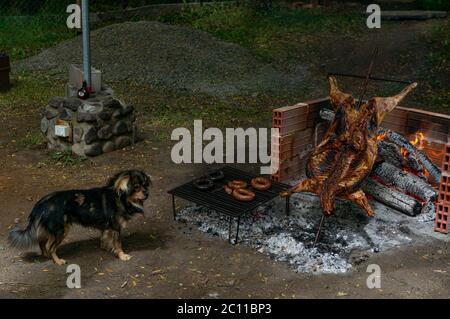 Lamb Al Asador, argentinischer Barbecue Lamm über dem Feuer Stockfoto