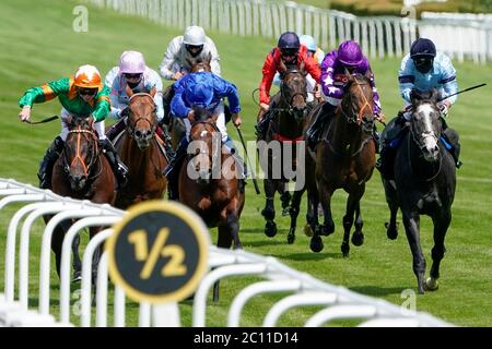 Well of Wisdom unter William Buick (blaue Seide) gewinnt den Sutton Handicap auf der Sandown Park Racecourse. Stockfoto