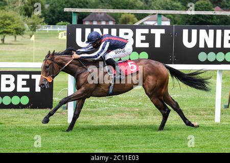 Happy Romance von Sean Levey gewinnt die britischen Hengststuds EBF Maiden Stakes auf der Sandown Park Racecourse. Stockfoto