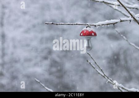 Amanita muscaria oder fliegen agaric legendären Pilz weihnachtsdekoration im Wintergarten mit Schnee Stockfoto