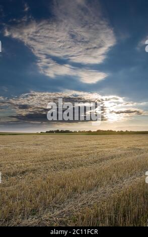 Schönes Stoppelfeld im Spätsommer bei Sonnenaufgang. Morgenlandschaft Stockfoto