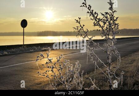 Herbstdämmerung Frostige Straße, Nebel über dem See und Gras mit Frost bedeckt Stockfoto