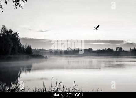 Die Morgenlandschaft mit Sonnenaufgang über dem Wasser im Nebel. Schwarz und Weiß. Stockfoto