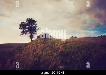 Schöne Landschaft von stürmischen Wolken über Feld. Foto mit Vintage-Stimmung. Stockfoto