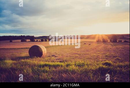 Vintage Foto von Strohballen auf Stoppeln Feld. Nach der Ernte Landschaft mit alten Foto-Stimmung. Stockfoto