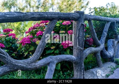 Schön mit lila Holzzaun Blumen für Dekoration Design. Sommer grünen Garten Blumen Blick. Oberflächengestaltung. Hausgarten. Stockfoto
