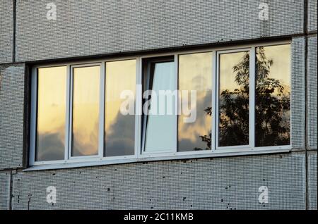 Baum spiegelt sich in den Fenstern der Schule und der Himmel im Licht der untergehenden Sonne. Stockfoto