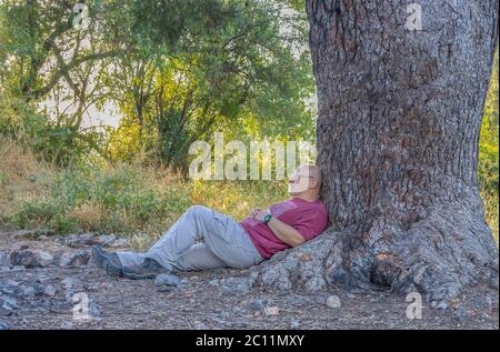 Ein Mann mittleren Alters, der im Schatten einer alten Jerusalemer Kiefer im Freien ruht Stockfoto