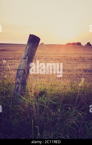 Schöne Landschaft der Landschaft. Wiese oder Feld mit Zaun. Foto mit Vintage-Stimmung Stockfoto