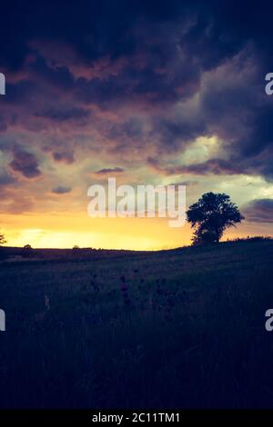 Schöne Landschaft von stürmischen Wolken über Feld. Foto mit Vintage-Stimmung. Stockfoto