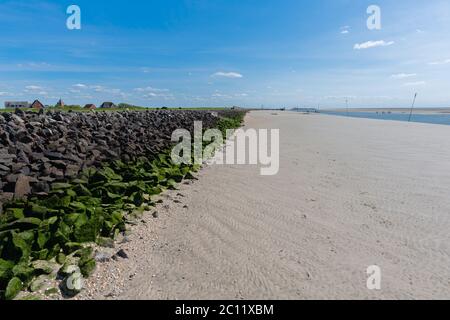 Küste und wattenmeer, Nordseeinsel Neuwerk, Bundesstade Hamburg, Norddeutschland, UNESCO-Welterbe Stockfoto