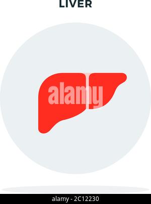 Menschliches Leberkonzept in einem Kreisvektor flach isoliert Stock Vektor