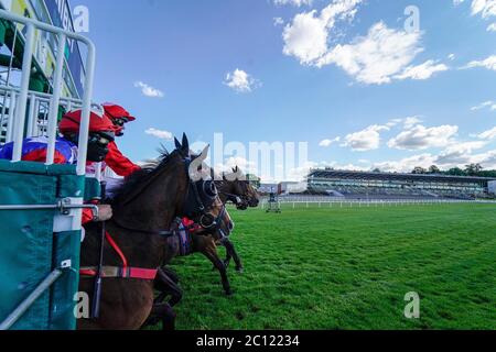 Ein allgemeiner Blick, wenn Läufer die Stände im Oxshott Handicap auf der Sandown Park Racecourse verlassen. Stockfoto