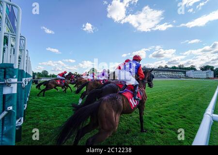 Ein allgemeiner Blick, wenn Läufer die Stände im Oxshott Handicap auf der Sandown Park Racecourse verlassen. Stockfoto