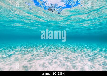 Tropisches transparentes Meer mit sandigen Unterwasser in Hawaii Stockfoto