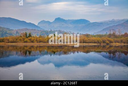 Die Langdale Pikes spiegelten sich im Elter Water im Herbst, Lake District, England Stockfoto