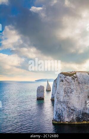 Blick südwestlich entlang der Küste Richtung 'The Pinnacles' von Handfast Point, Dorset Stockfoto