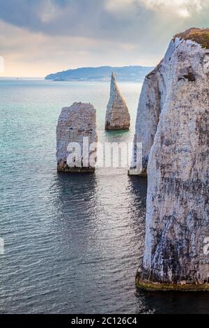 Blick südwestlich entlang der Küste Richtung 'The Pinnacles' von Handfast Point, Dorset Stockfoto