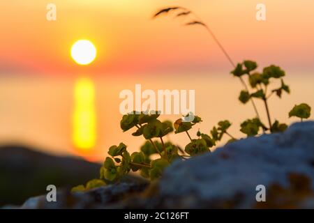 Sonnenuntergang über dem Asowschen Meer am Strand von Generälen. Karalar regionale Landschaftsparks auf der Krim. Stockfoto