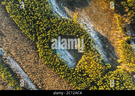 Luftaufnahme Von Laubbäumen Ohne Laub Und Grünen Wald In Landschaft Im Frühen Frühjahr. Kiefernwald In Entwaldung Gebiet Landschaft Stockfoto