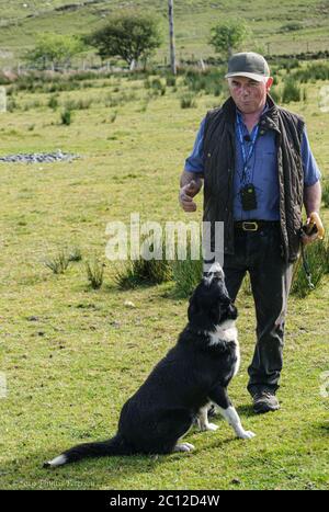 Ein Mann und ein Hund auf einem Feld. Hochwertige Fotos Stockfoto