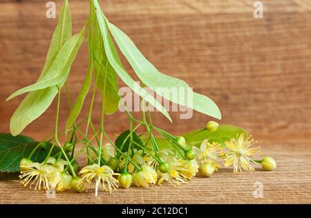 Frische Blumen und Lindenblätter auf Holzgrund. Tiefenfokus Stockfoto