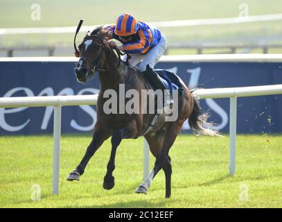 Lancaster House von Seamie Heffernan gewinnt die Coolmore Calyx Gladness Stakes auf der Curragh Racecourse. Stockfoto