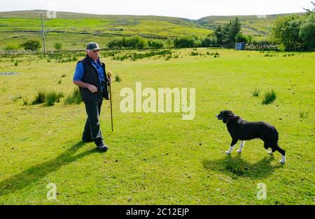 Glen Keen Farm-Nordirland/22. Mai 2020: Hirte einer Schaffarm in Irland geht mit einem Schafhund spazieren, bevor er die Schafe von den Hügeln umrundet. Hochwertige Fotos Stockfoto