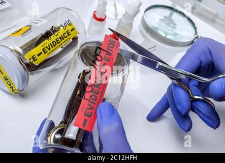 Wissenschaftlichen Polizei öffnet mit der Schere ein Beutel der Beweis eines Verbrechens im wissenschaftlichen Labor Stockfoto