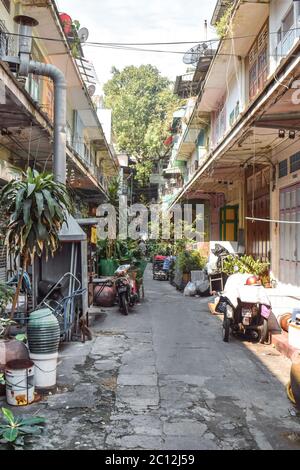 Schattiger Verbündeter in Bangkok Thailand Stockfoto