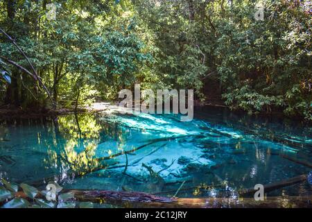 Wunderschönes Cyanwasser des Smaragdteiches mitten im wilden Dschungel in Krabi Thailand Stockfoto