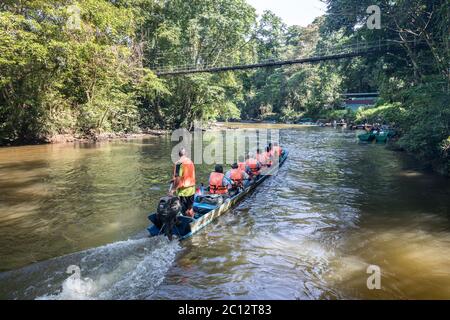 Touristen im Langboot, die den Meliau Fluss zu den Höhlen, Mulu, Malaysia Stockfoto