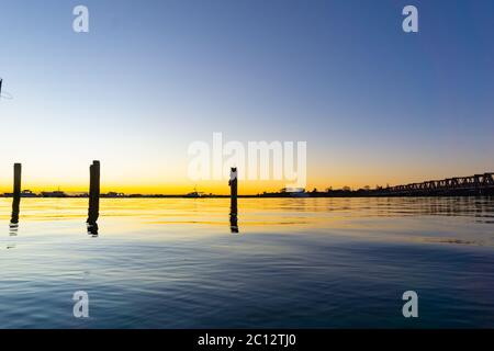 Die geschwungenen Linien der historischen Eisenbahnbrücke von Tauranga mit der Sonnenaufgang auf der linken Seite färben sich golden über den Hafen in Neuseeland. Stockfoto