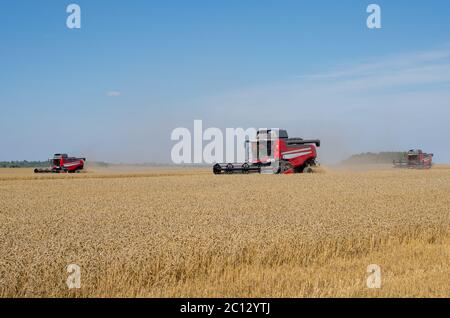 Mehrere Mähdrescher im Feld. Litauen Stockfoto