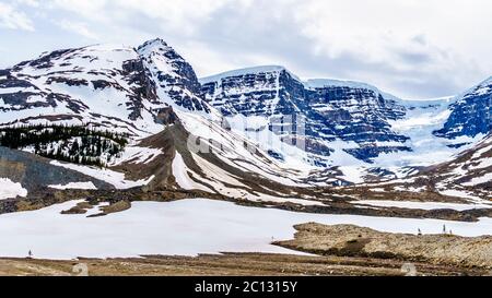 Der berühmte Snow Dome Glacier und die umliegenden Berge der Columbia Icefields im Jasper National Park, Alberta, Kanada im Frühling Stockfoto