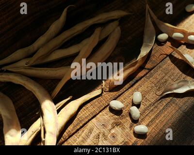 Weiße Kidney-Bohnen auf Holzhintergrund. Getrocknete Bio-Ernte von weißen Bohnen. Stockfoto