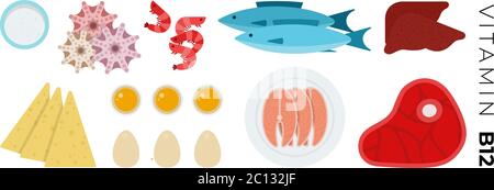 Vitamin B12 foods vector flat icons set with fish and meat. Stock Vektor