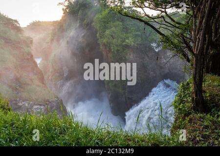 Oben auf den Fällen, Murchison Falls auf dem Victoria Nil im Murchison Falls National Park, Norduganda, Ostafrika Stockfoto