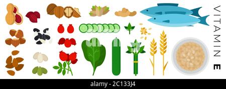 Vitamin E foods vector flat icons set with nuts, fish. Stock Vektor