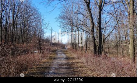 Wasserfälle in der kanadischen Stadt Hamilton, Ontario. Unglaublicher Wald, Winter- und Frühlingswetter, wunderbare Orte zum Entspannen Stockfoto