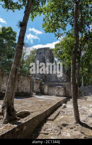 Die Ruinen der antiken Stadt hormiguero, Campeche, Mexiko Stockfoto