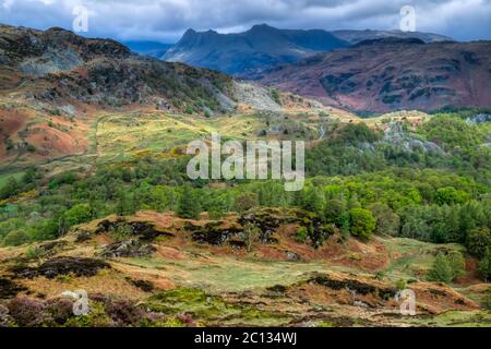 Langdale Pikes aus Holme Fell English Lake District Stockfoto