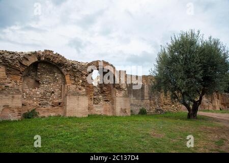 Ruinen des alten kaiserlichen Palastes auf dem Palatin, Rom Stockfoto