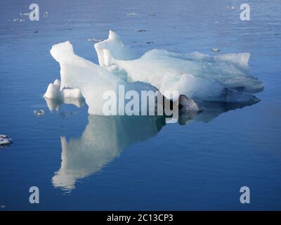 Eisberge in Jokulsarlon Lagune, unter Breidamerkurjokull Gletscher, Island Stockfoto