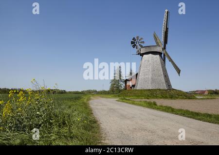 Windmühle Bierde (Petershagen) Stockfoto