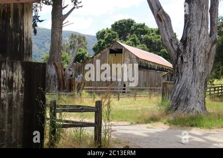 Eingang zu einem Bauernhof mit einer alten, verwitterten Scheune, eingerahmt von Bäumen. Stockfoto