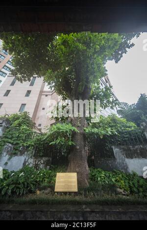 Hanoi Vietnam 20. August 2019 : Schild am Eingang des oppresiven Hoa Lo Gefängnisses in Hanoi, auch bekannt als das "Hanoi Hilton" unter amerikanischen Kriegsgefangenen Stockfoto