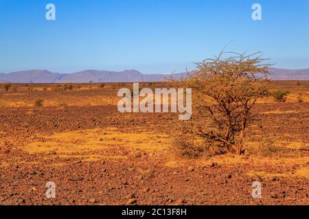 Schönen marokkanischen Berglandschaft mit Akazie im Vordergrund Stockfoto