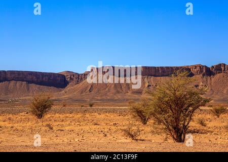 Schönen marokkanischen Berglandschaft mit Akazie im Vordergrund Stockfoto