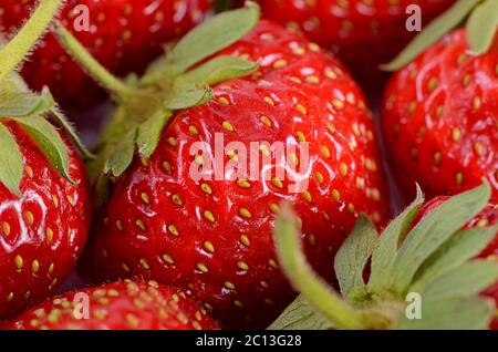Der Hintergrund von frisch geernteten Erdbeeren Stockfoto
